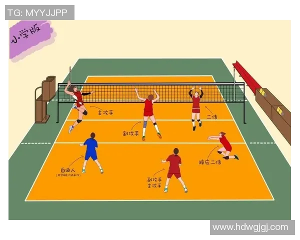 排球之美：深入成都排球队灵活性训练与战术解析