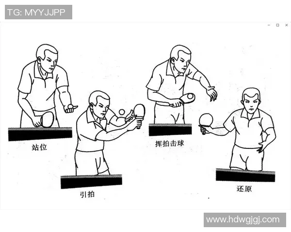 杭州乒乓球队转换打法深度分析与战术创新探讨