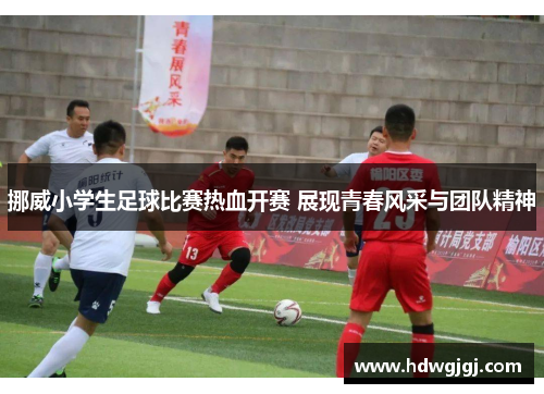 挪威小学生足球比赛热血开赛 展现青春风采与团队精神